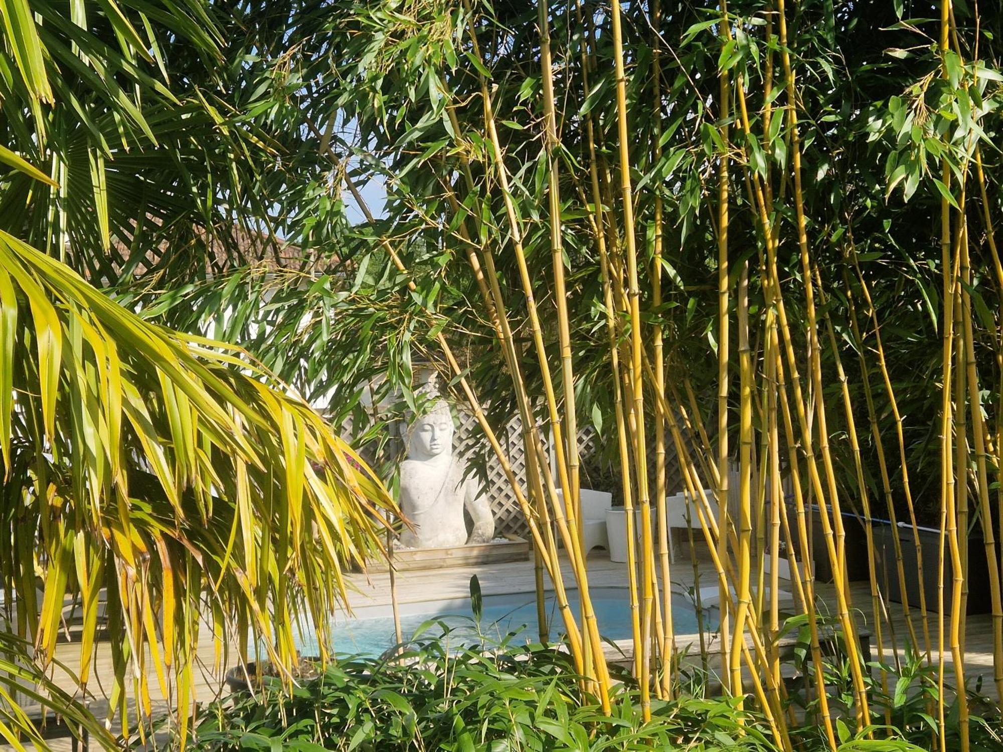 La Serenite Balinaise, Chambre Et Sdb Privee, Jardin , Piscine Et Jacuzzi En Saison, Pres De Chantilly, Parc Asterix Et Cdg Et Paris En 20' Orry-La-Ville Екстер'єр фото
