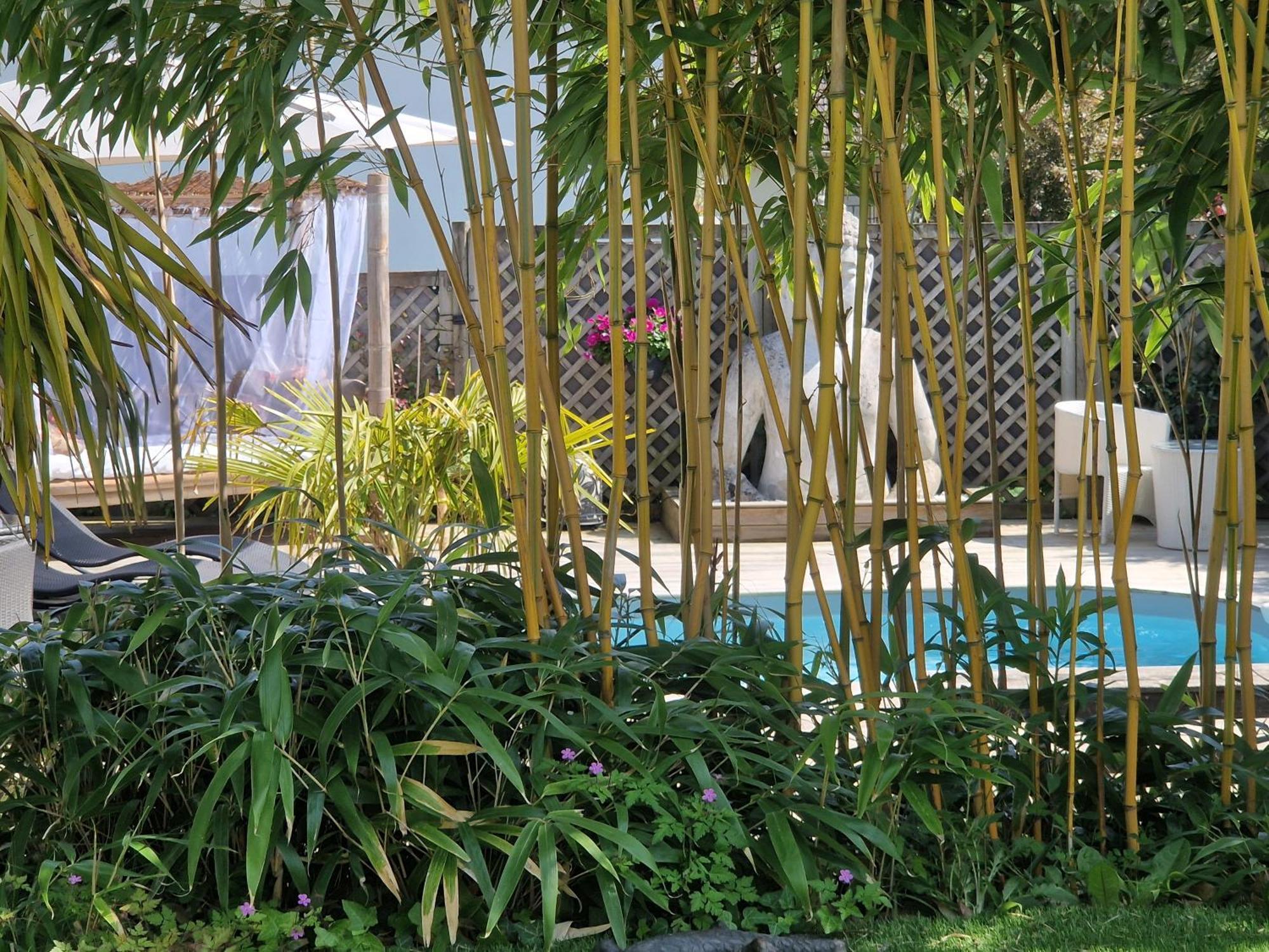 La Serenite Balinaise, Chambre Et Sdb Privee, Jardin , Piscine Et Jacuzzi En Saison, Pres De Chantilly, Parc Asterix Et Cdg Et Paris En 20' Orry-La-Ville Екстер'єр фото